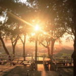 Adelaida-cellars-SunriseOverVineyards-HA