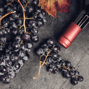Cabernet Franc