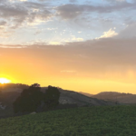 Alta Colina Sunset