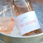 Picayune Rose