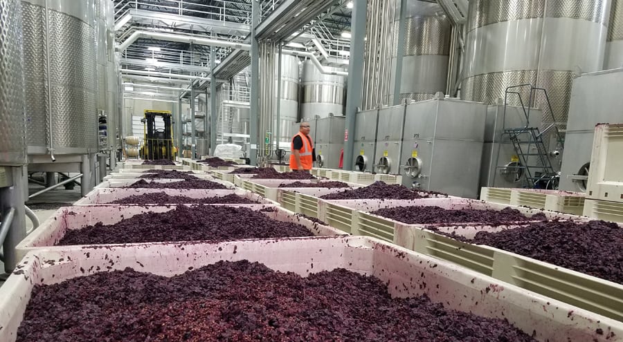 Wine Production 