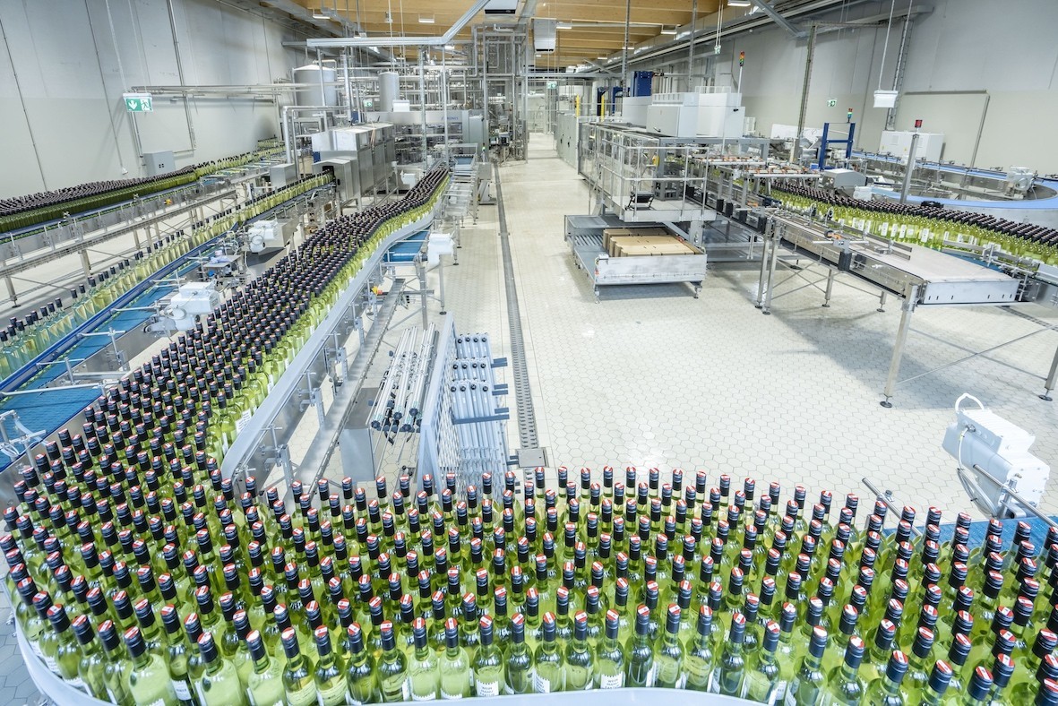 Wine Manufacturing Plant 