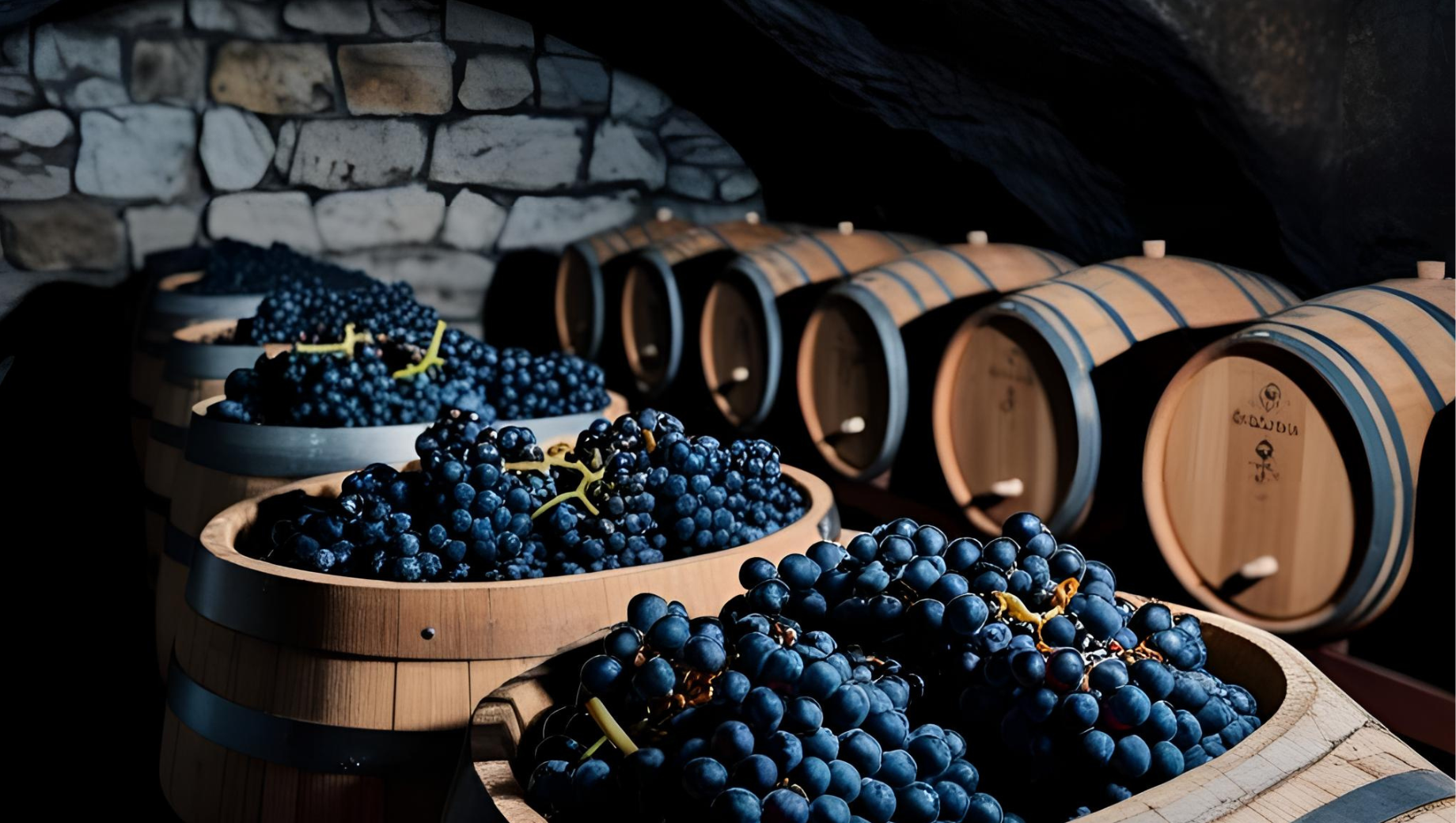 wine cave 2